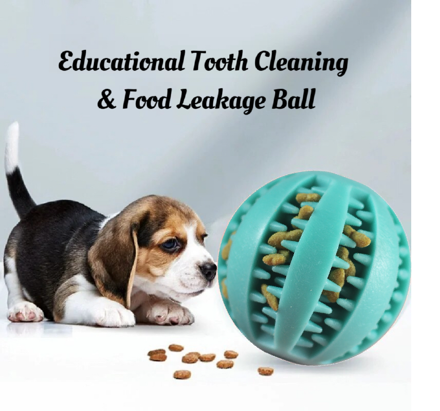 pet treat ball 