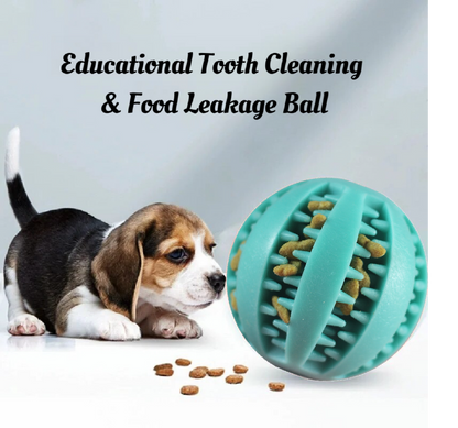 pet treat ball 